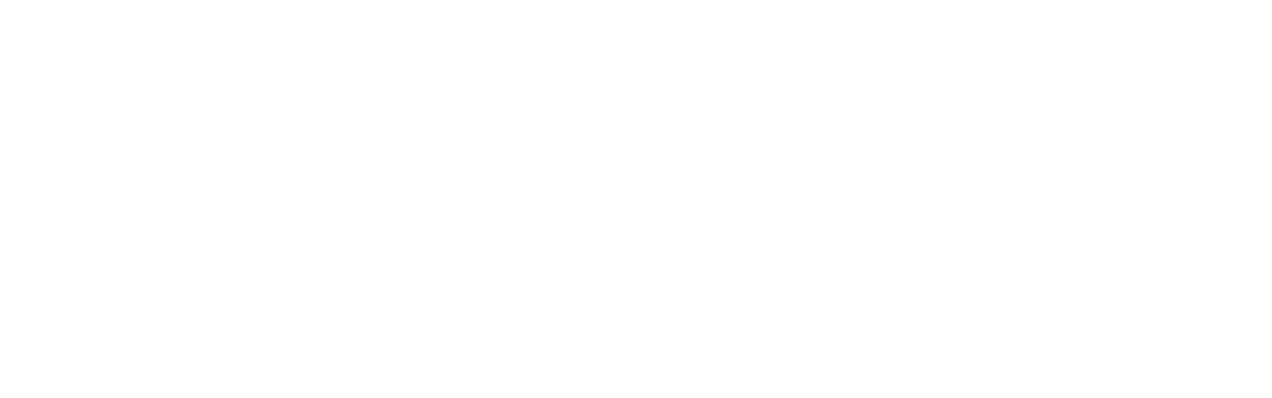 BioSports Physical Therapy logo