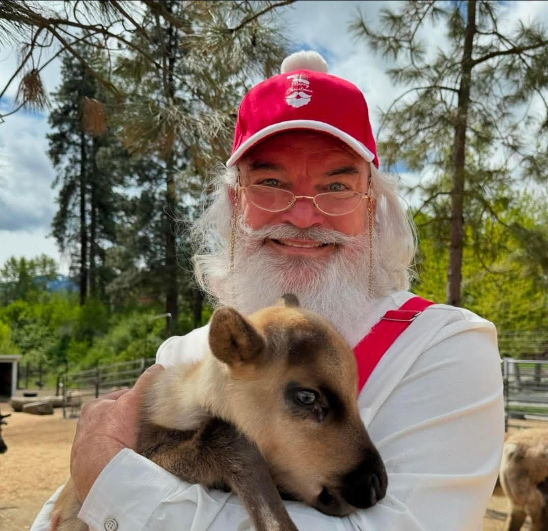 Santa holding a baby reindeer at Leavenworth Reindeer Farm